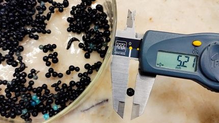 El Conicet y la UBA crearon un filtro para el arsénico: su importancia para el conurbano. El Conicet y la UBA crearon un filtro para el arsénico: su importancia para el conurbano.