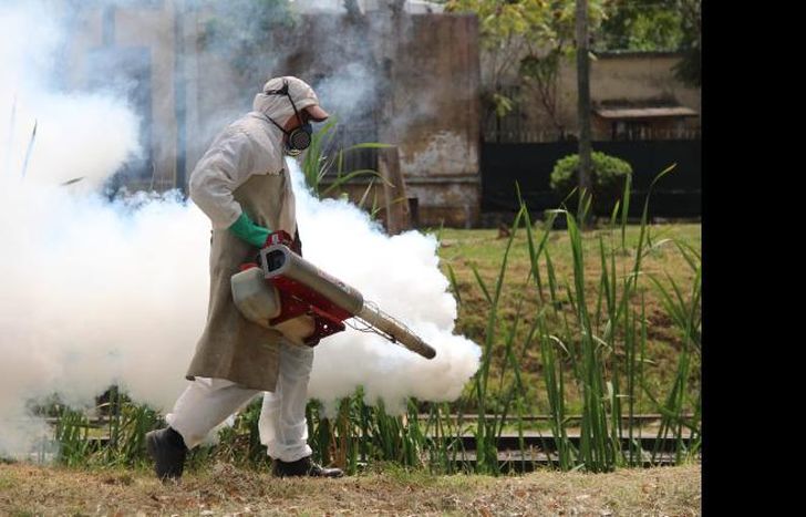 fumigan en espacios públicos, Y lugares COMO cauces de arroyos.