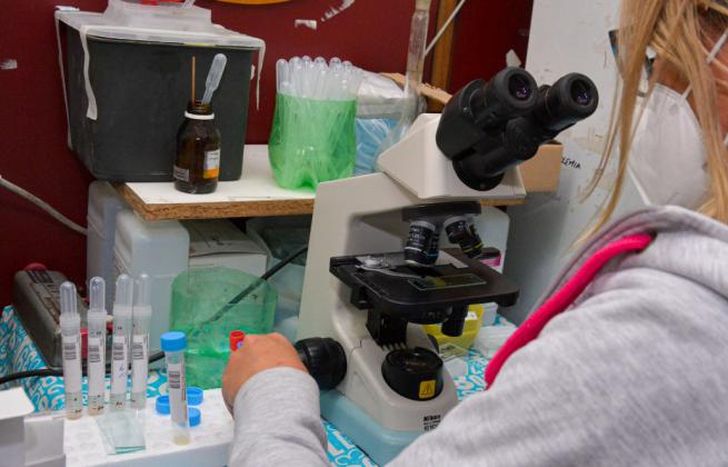 En los picos de la pandemia, la positividad llegó al 90%.