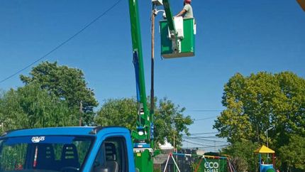 Durante la colocación de los dispositivos.