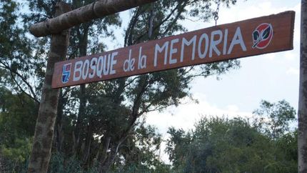 Van a plantar árboles nativos en el Bosque de la Memoria.