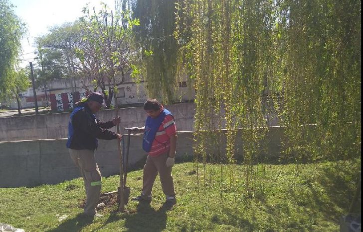 la iniciativa tuvo su apertura en la delegación de lomas oeste.la iniciativa tuvo su apertura en la delegación de lomas oeste.