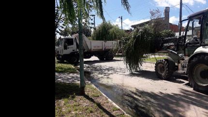 Se utilizan retroexcavadoras para realizar el perfilado.