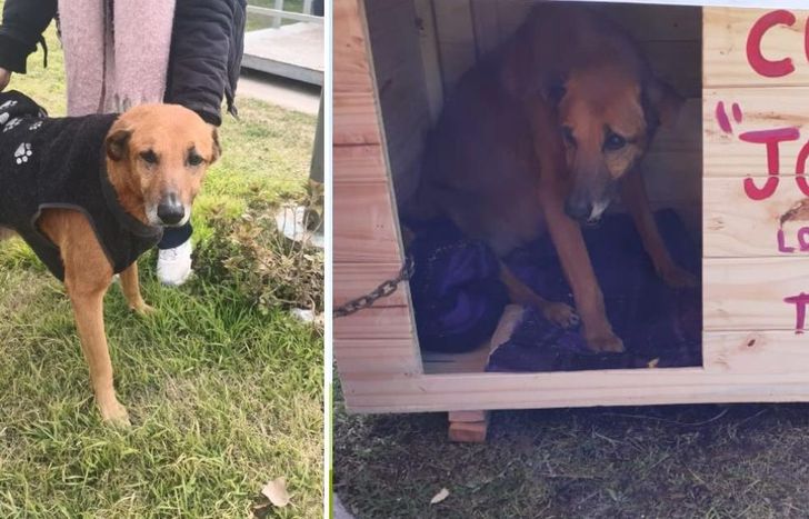 Tiene problemas de artrosis y renales por lo que no puede seguir viviendo en la calle.