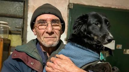 El herrero de Temperley tiene un nuevo hogar junto a sus perros. El herrero de Temperley tiene un nuevo hogar junto a sus perros.