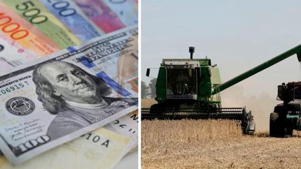 Diario La Unión | En medio de la tensión por el dólar, el Gobierno de Javier Milei le bajó las retenciones a los granos.