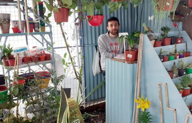 Facundo notó demanda en flores coloridas, como la margarita.