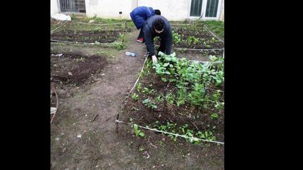 El proyecto “huerta Lomas” llega a escuelas de todo Lomas.