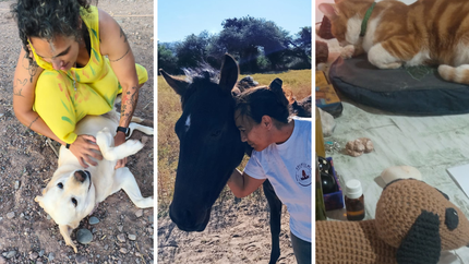 Desde Temperley, quiere enseñar la importancia de comunicarse con los animales y ayudar a entenderlos. Desde Temperley, quiere enseñar la importancia de comunicarse con los animales y ayudar a entenderlos.