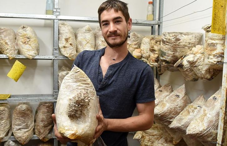 Producen para el público que los contacta, para dietéticas y verdulerías.