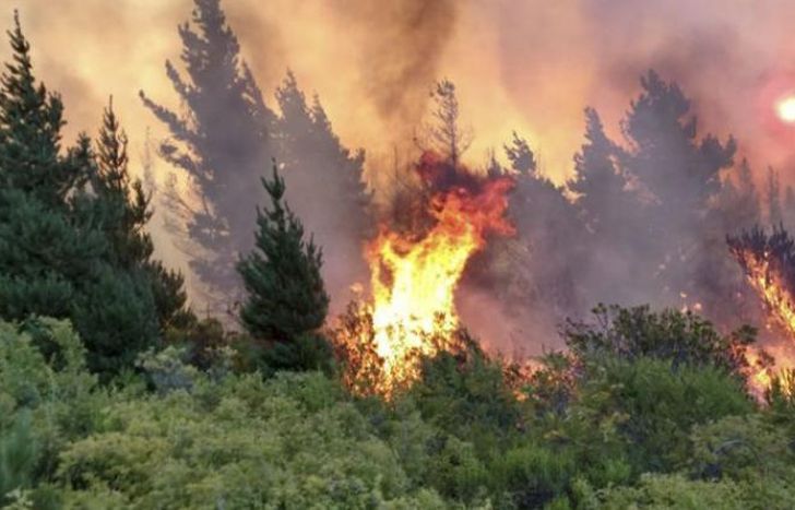 Para colaborar con los afectados por los incendios.