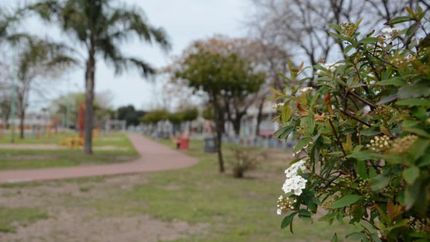 Hay cinco parques municipales en Lomas.