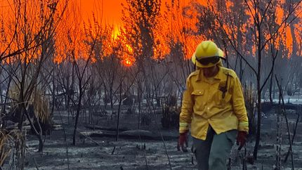 Sabrina Gerez se encuentra rumbo a la Patagonia para combatir los incendios forestales. Sabrina Gerez se encuentra rumbo a la Patagonia para combatir los incendios forestales.