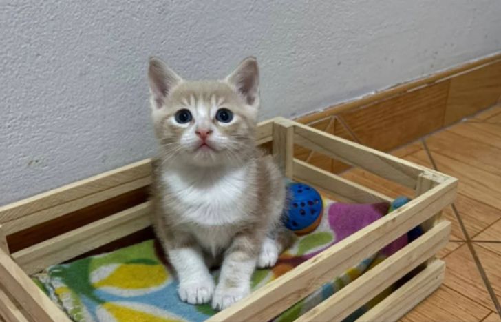 Una de las publicaciones de la menor del Clan Duque Rojas.