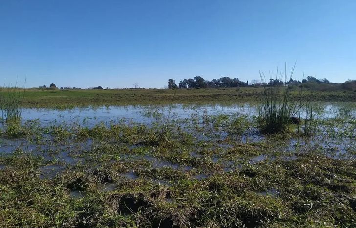 Impulsan un Biocorredor para proteger 2.600 hectáreas naturales de Ministro Rivadavia.