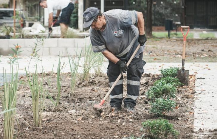 Forestación en la Plaza de los Italianos, que está siendo remodelada.