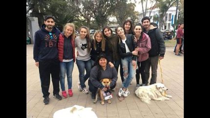 ayudan a rescatar perros y gatos y los dan en adopcion
