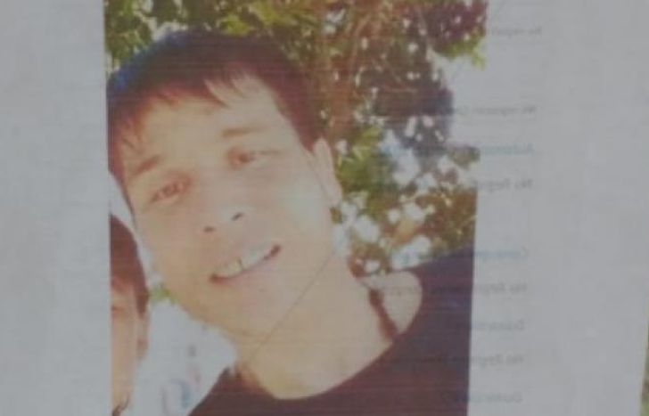 No hay avances en la búsqueda.