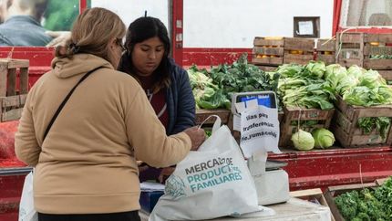 Venderán carnes, verduras, frutas, lácteos, pastas y panificados. Venderán carnes, verduras, frutas, lácteos, pastas y panificados.