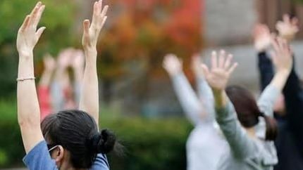 Una alternativa para acercarse o conocer la disciplina milenaria.