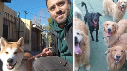 Recomienda tomar conciencia respecto a la educación canina.