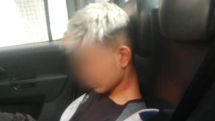 El menor fue llevado a un instituto de máxima seguridad.