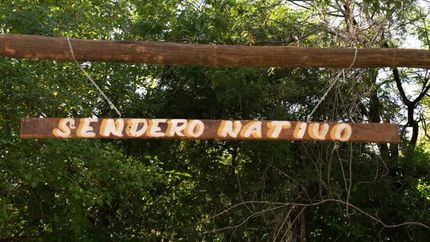 Está repleto de plantas y árboles nativos.