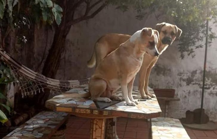 Ema y Tom son madre e hijo. Son muy unidos e inseparables.