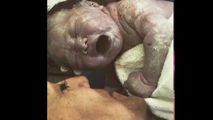 ¡bienvenida lola!