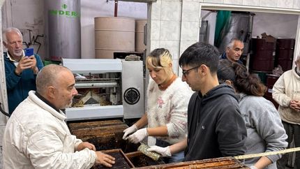 Estudiantes de la UNLZ visitaron la Cooperativa Apícola en San Vicente. Estudiantes de la UNLZ visitaron la Cooperativa Apícola en San Vicente.