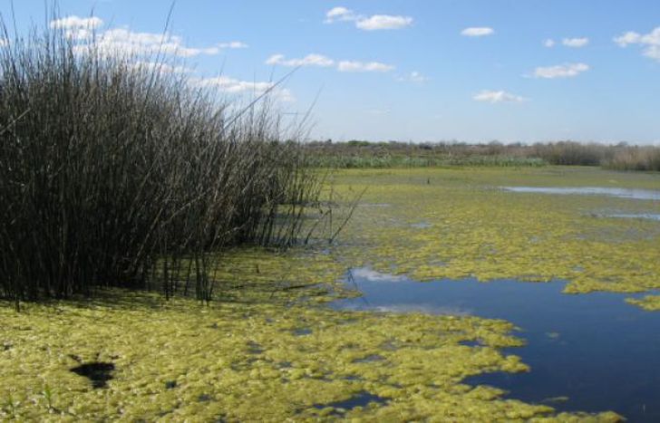 Los ecosistemas son fundamentales para la vida cotidiana.