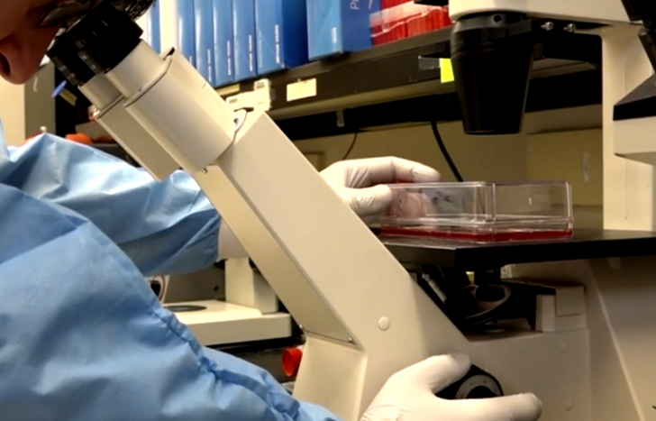 Revelador documental.