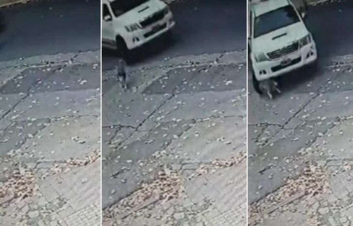 El video circuló en redes sociales y generó la indignación de los usuarios.