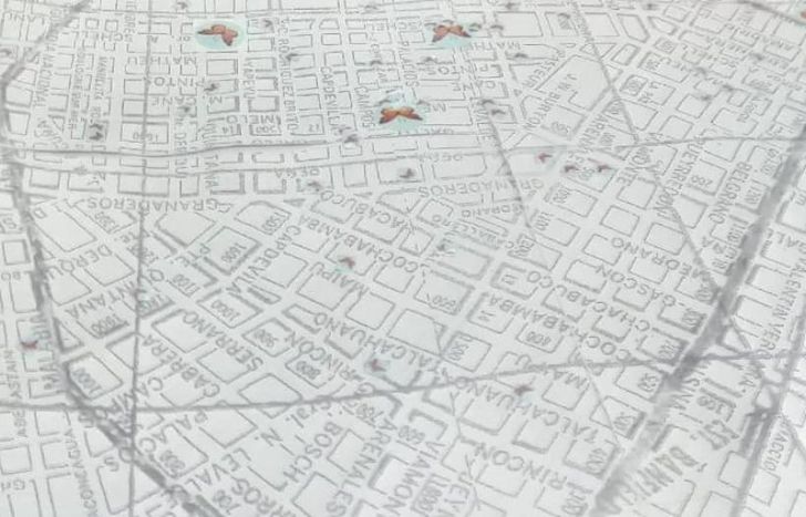 Las 100 casas de los jardines con mariposas.