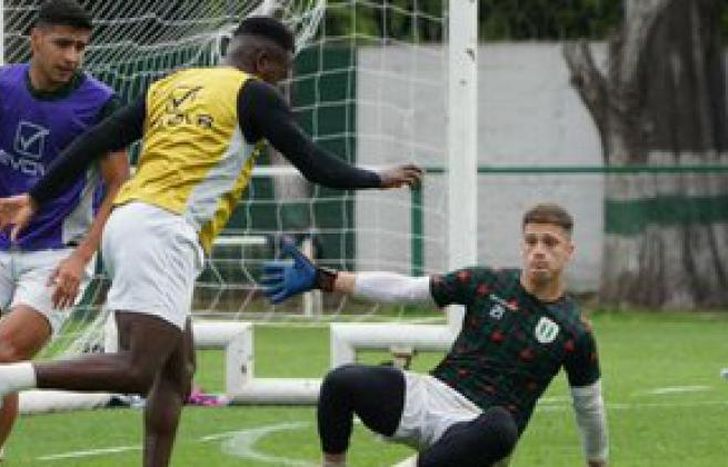 El Taladro sigue ultimando detalles en el predio de Guillón.