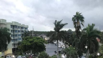 Por la ventana de Alejandro se cómo el cielo de Miami se pone cada vez más oscuro. Por la ventana de Alejandro se cómo el cielo de Miami se pone cada vez más oscuro.