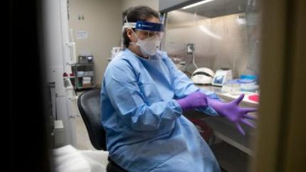 De los 2.146 reportados este lunes, 1.037 son de la provincia de Buenos Aires.