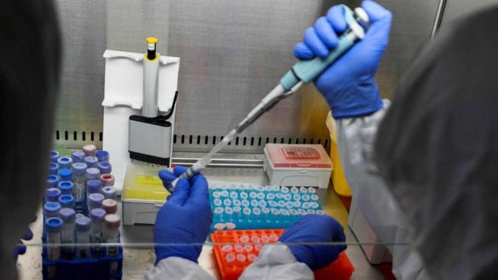 Se completaron la fase 1 y 2 de ensayos.