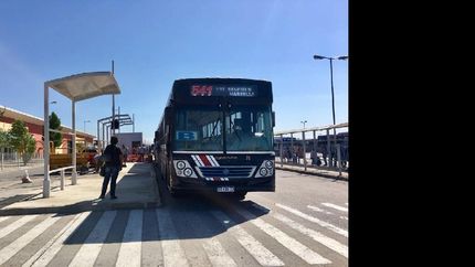 la app de colectivos continua creciendo