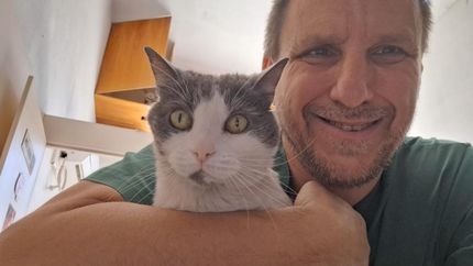 La clave es mantener frescas a las mascotas y en lugares confortables, señaló.