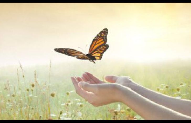 Por el momento los encuentros entre padres será por la plataforma zoom.