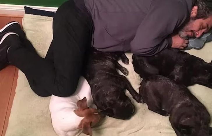 El actor y sus perros.