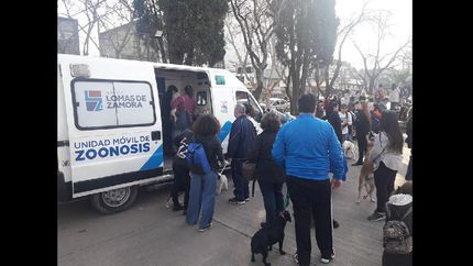 gestiones de dni, controles medicos y atencion a mascotas