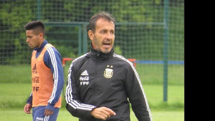 batista: gaich y herrera van a estar en el preolimpico