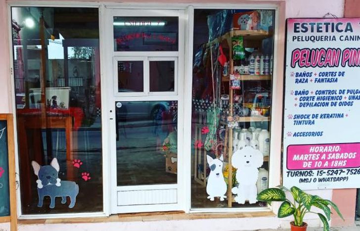 Escuela de peluquería canina, Pelucan Pink.