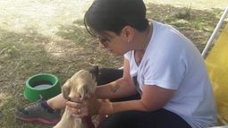 Karina va siempre que puede para ayudar a los perritos que esperan un hogar.