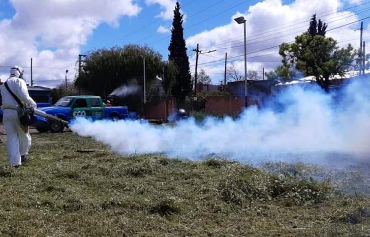 Las acciones en los distintos espacios públicos.