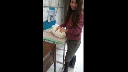 premian a alumnos de san vicente