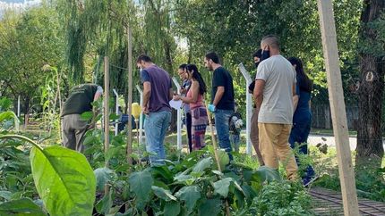 Se realizó a través de la Secretaría de Medio Ambiente.