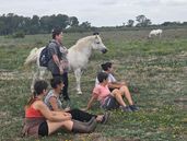 En el refugio viven decenas de caballos: todos ellos tienen una segunda oportunidad de vida tras haber sufrido maltrato animal. En el refugio viven decenas de caballos: todos ellos tienen una segunda oportunidad de vida tras haber sufrido maltrato animal.